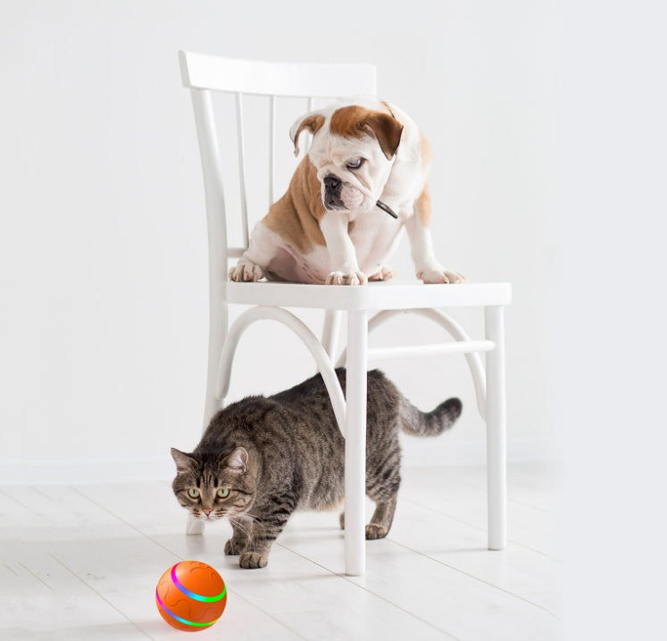 Automatic Cat Ball Toy – USB Rechargeable Self-Rotating Interactive Ball